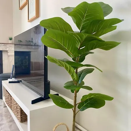 Апартаменты Alba Horizon Living Салоники
